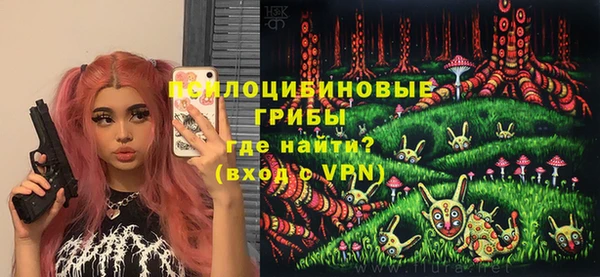 ПСИЛОЦИБИНОВЫЕ ГРИБЫ Богородицк