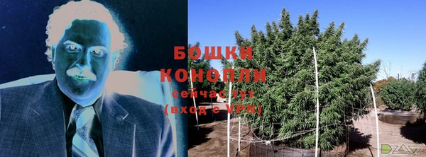 мескалин Богданович